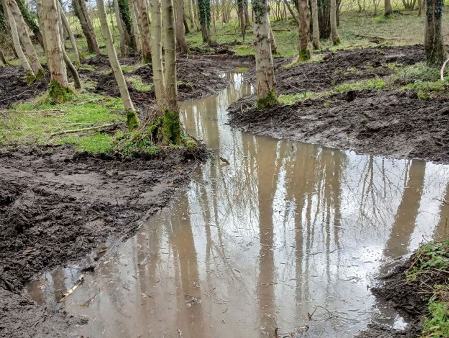 After the Creation of One of Three Woodland Scrapes Near North Cave